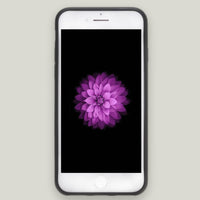 Kartlıklı Deri Kılıf — iPhone 7